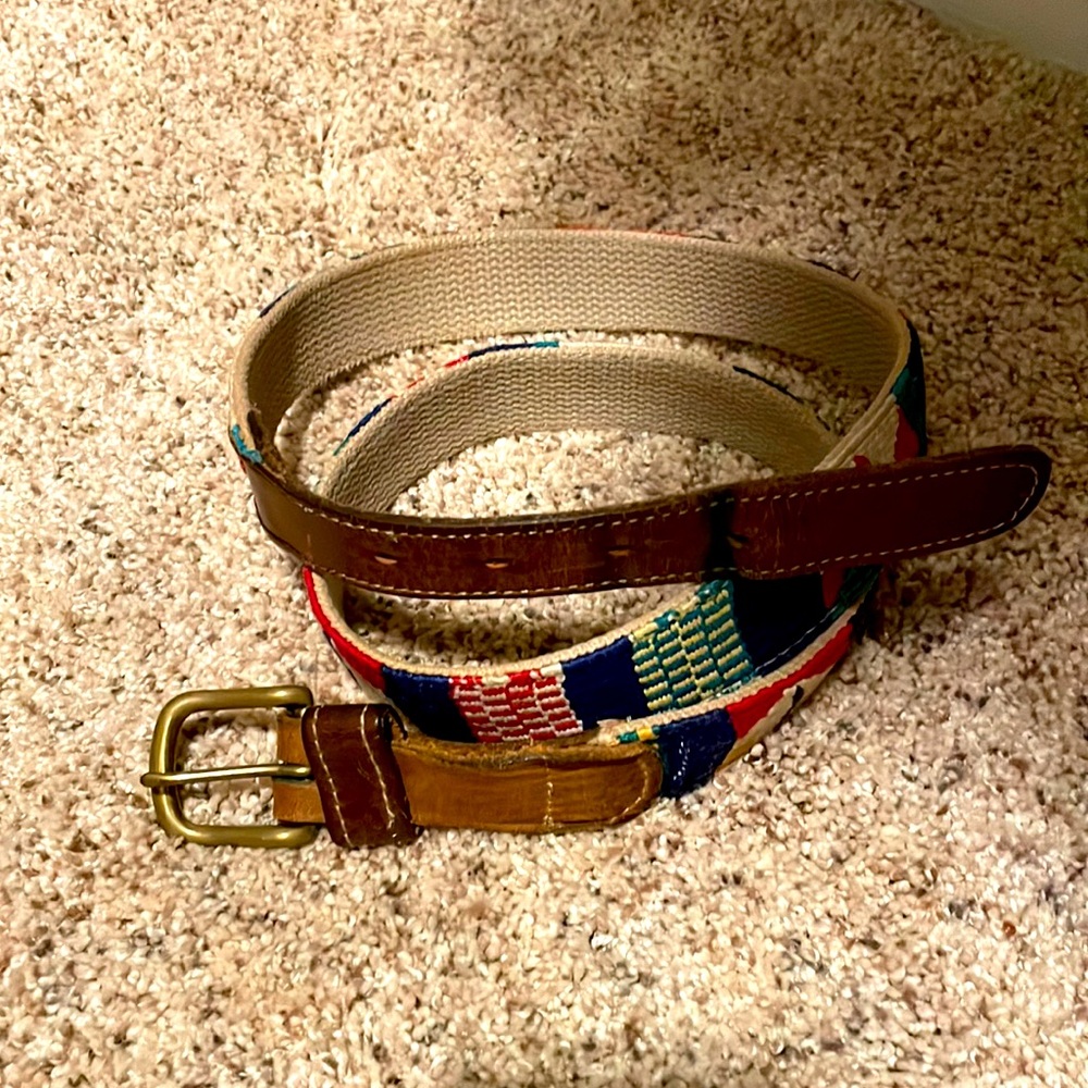 A Tail We Could Wag Striped Belt